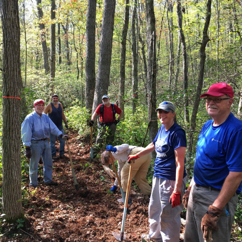 Initiative Photo  (137206)