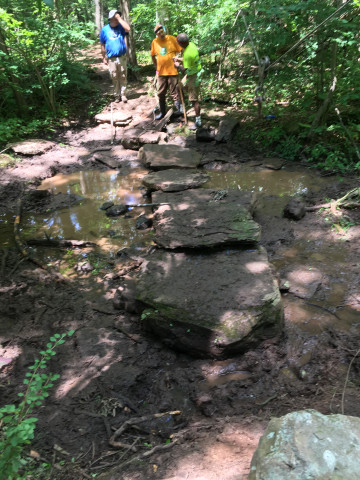 Initiative Photo  (141348)