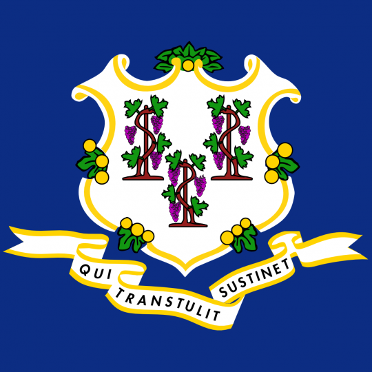Initiative Logo