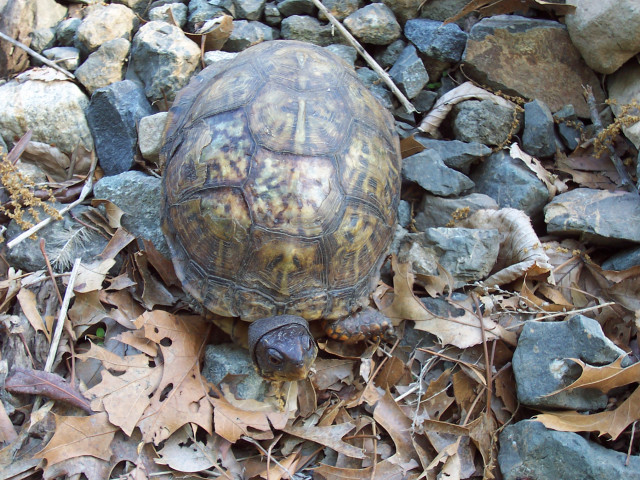 Initiative Photo  (137197)