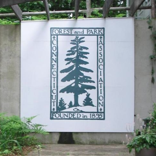 Initiative Logo