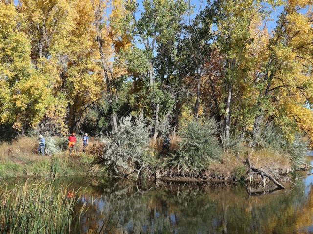Agency Photo  (214359)