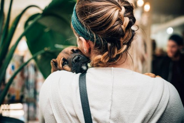 Community Partner Photo  (152824)