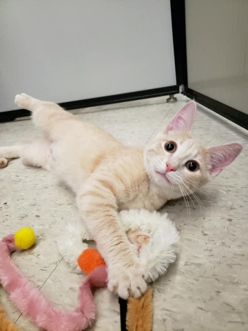 Community Partner Photo  (157418)