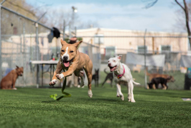 Community Partner Photo  (152825)