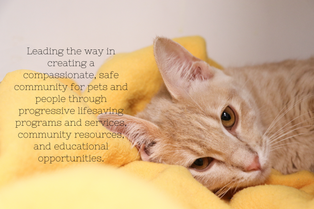 Community Partner Photo  (152826)