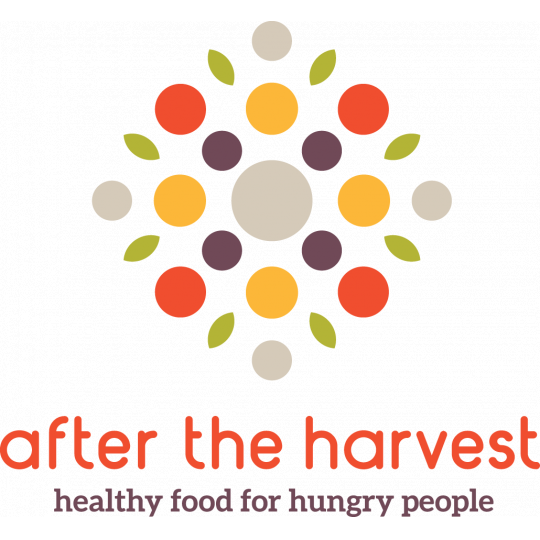 Community Partner Logo