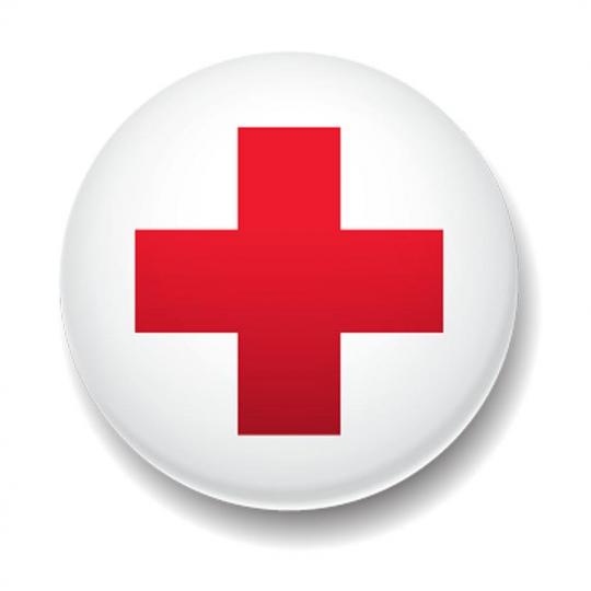 Organization Logo