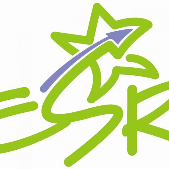 Organization Logo