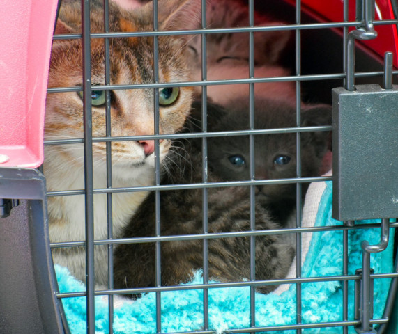 Agency Photo  (140530)