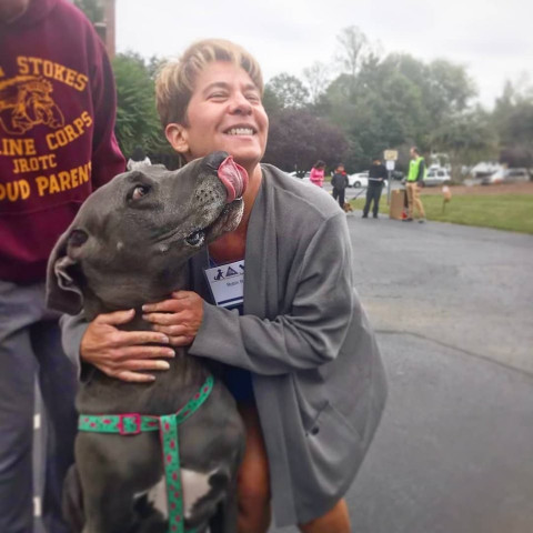 Agency Photo  (140532)