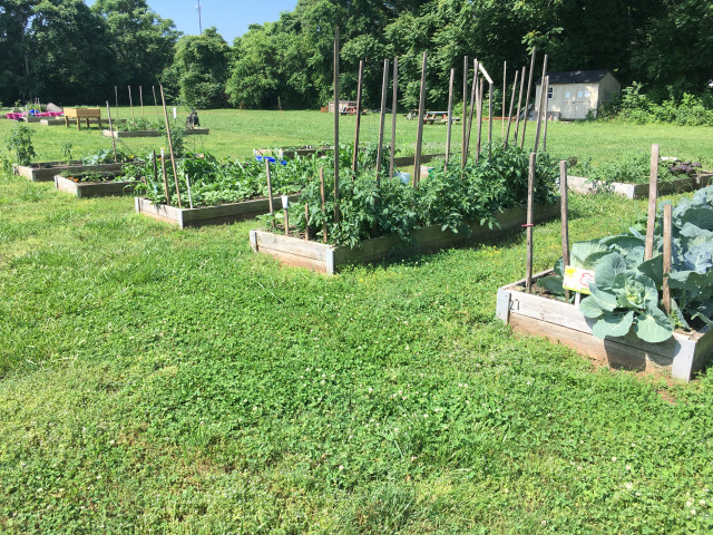 Organization Photo  (174744)