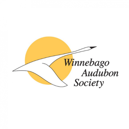 Organization Logo