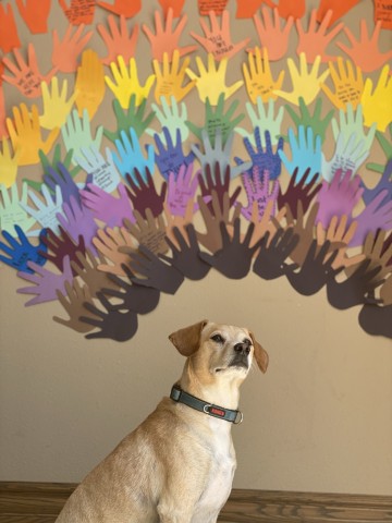 Organization Photo  (202740)