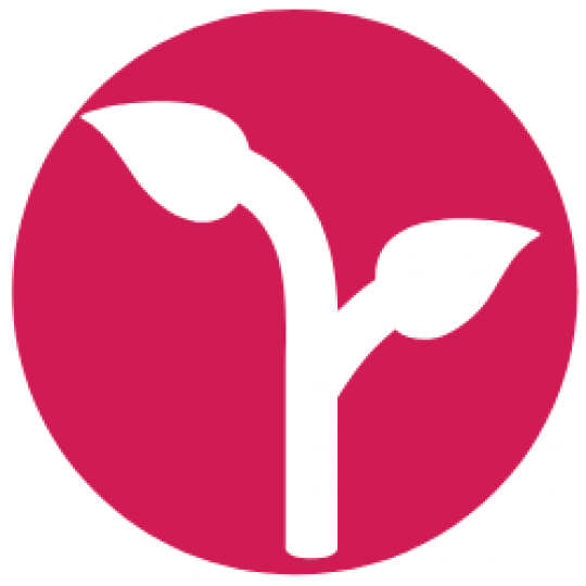 Program Logo