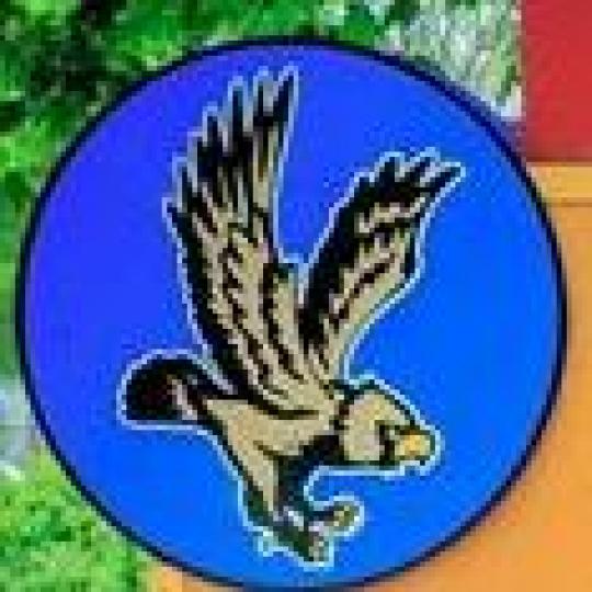 Site Logo