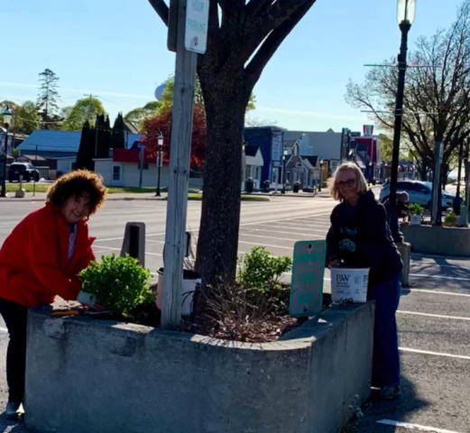 Agency Photo  (274937)