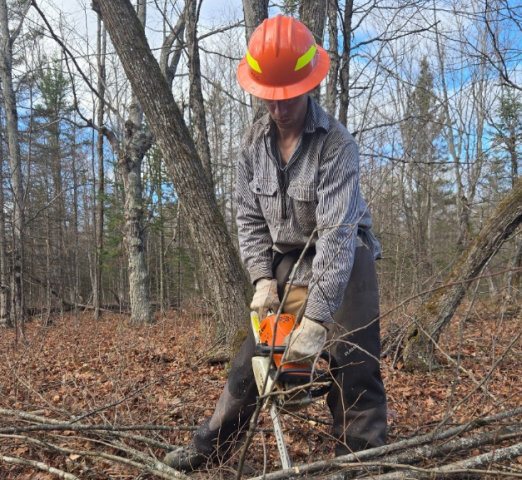 Agency Photo  (255707)