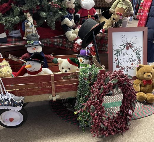 Agency Photo  (275034)