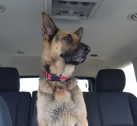 Agency Photo  (255498)