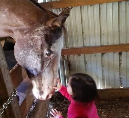 Agency Photo  (275047)