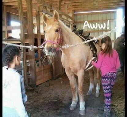 Agency Photo  (275044)