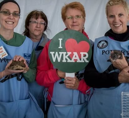 Agency Photo  (275085)