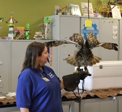 Agency Photo  (275076)