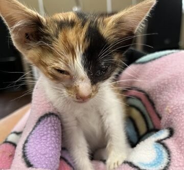 Agency Photo  (255306)