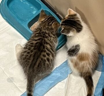 Agency Photo  (255294)