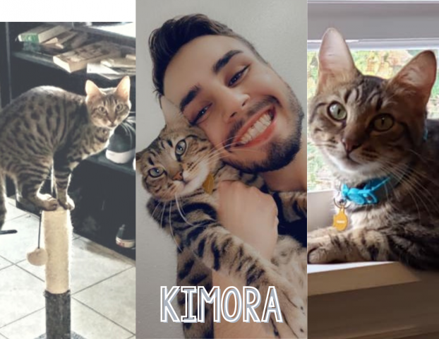 Agency Photo  (168993)