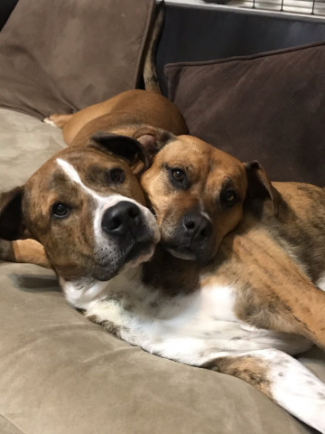 Agency Photo  (168991)