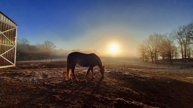 Agency Photo  (209397)