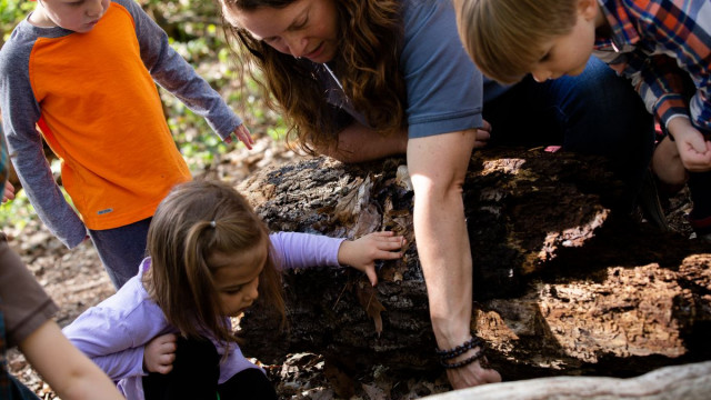 Organization Photo  (155433)