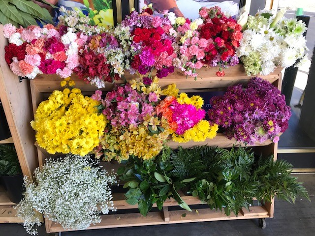 Organization Photo  (171180)