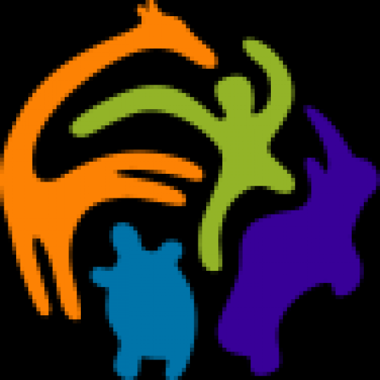 Organization Logo