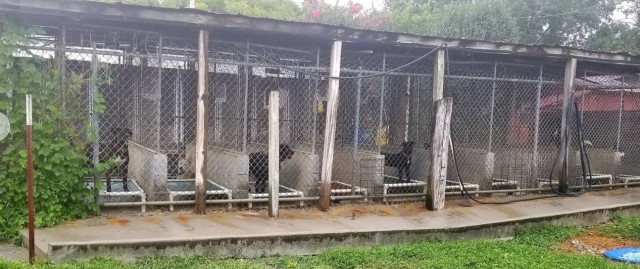 Organization Photo  (174285)