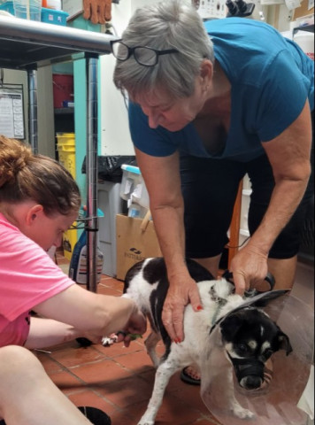 Organization Photo  (174291)