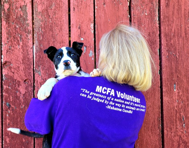 Organization Photo  (190004)