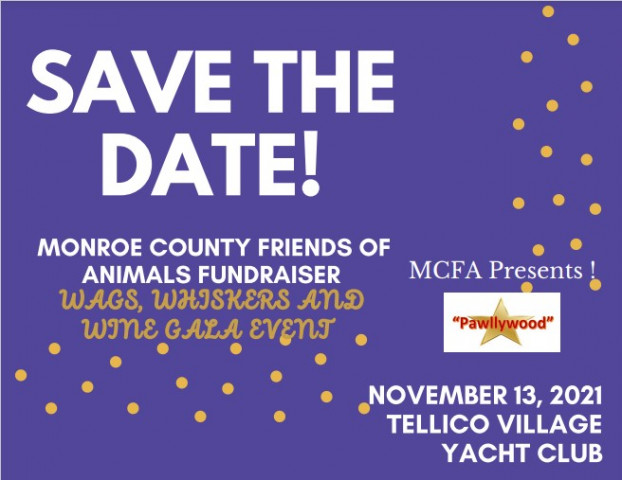 Organization Photo  (174287)