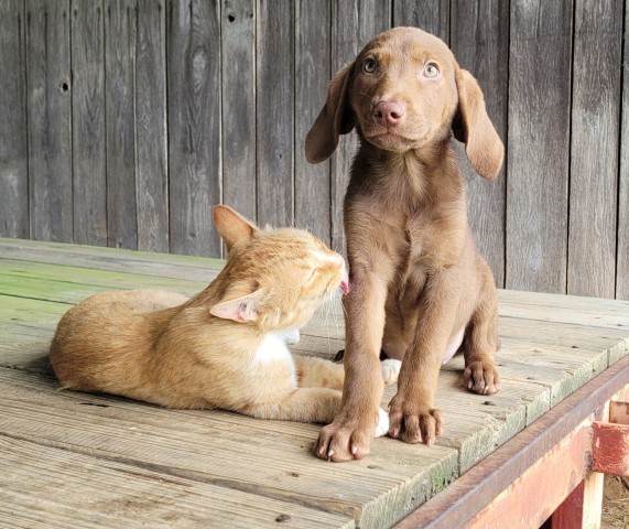 Organization Photo  (213222)