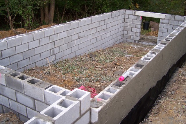 Organization Photo  (182814)