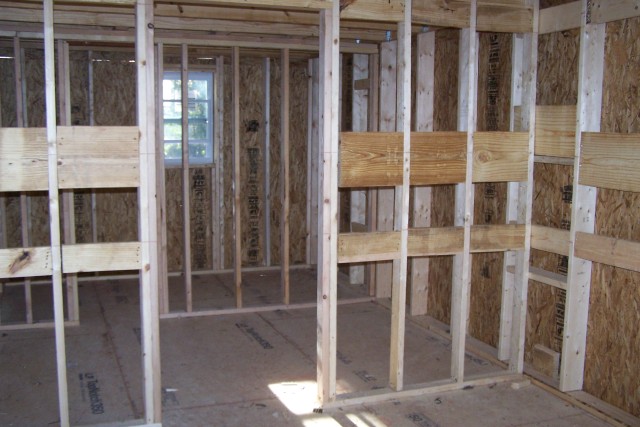 Organization Photo  (182811)