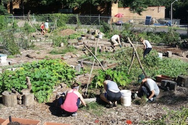 Organization Photo  (183396)