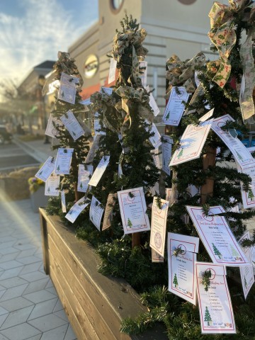 Organization Photo  (194823)