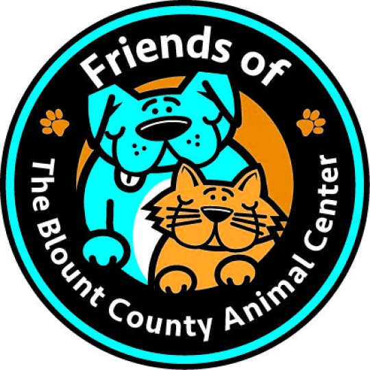Agency Logo