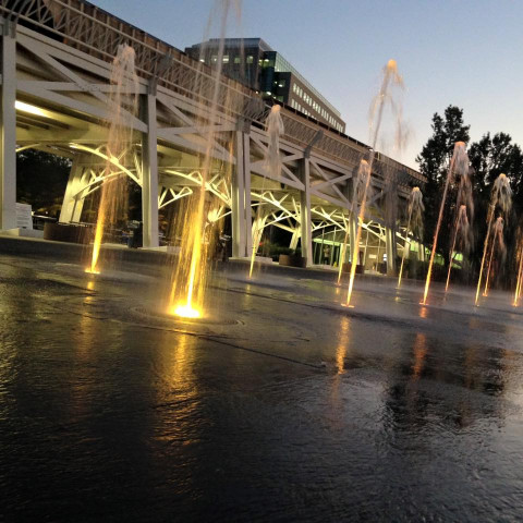 Park Photo  (162963)