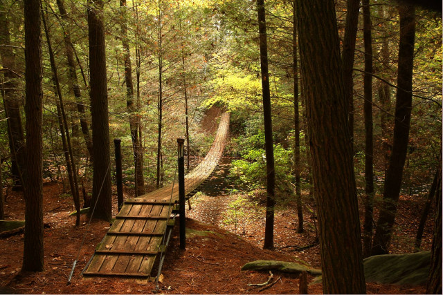 Park Photo  (173891)