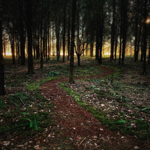 Park Photo  (170086)