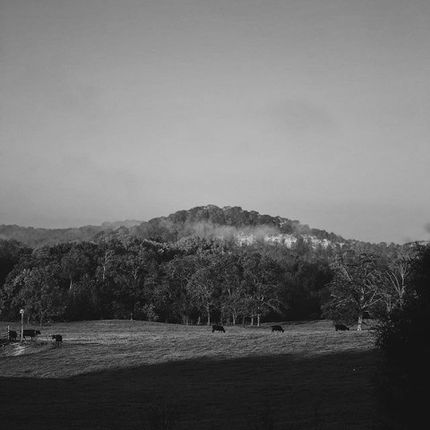 Park Photo  (170082)